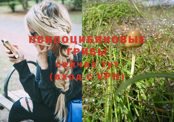 прущие крисы Усинск