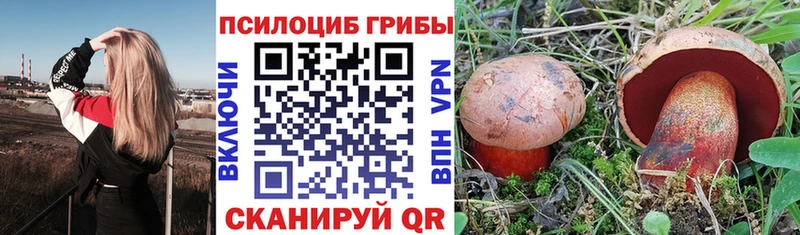 Купить закладки  Вологда  Псилоцибиновые грибы Magic Shrooms 